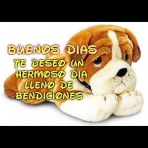 Meet your Posher, Antonio